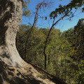 The Thriving Sports Scene in Northeast Tennessee