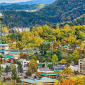 The Thriving World of Sports in Northeast Tennessee: A Local Expert's Perspective