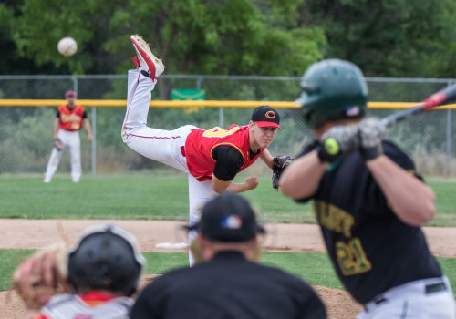 The Economic Impact of Sports in Northeast Tennessee: A First-Hand Perspective